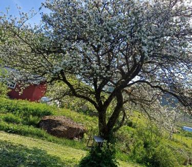 Sauda Appartement | Overnating i Sauda