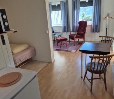 Lebesby Appartement | Overnatting Kjøllefjord, Hybelleilighet med kjøkkenkrok og eget bad