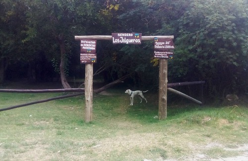 Las Rosas Cabine | Owl Cabins