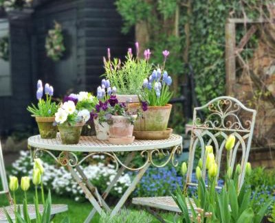 Newport Pagnell Appartement | Owl Lodge