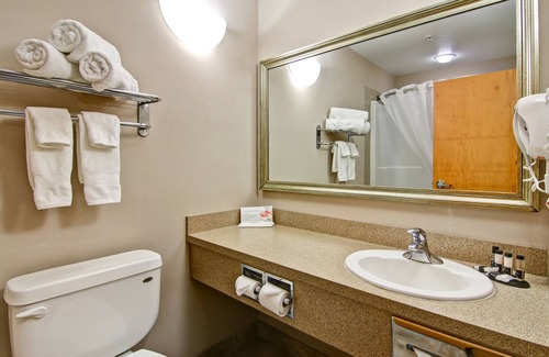 Oyen Hôtel | Oyen Canalta