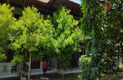 Pemaron Hôtel | OYO 90733 Bali Bagus Hotel