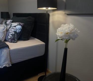 Jekabpils Appartement | OzolApart 2