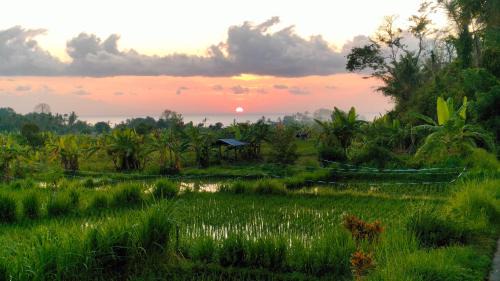 Sengkidu Maison | P'Moon Open Inn