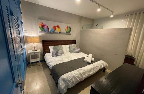 Condado Appartement | P0 Pr Rentals Walk To The Beach