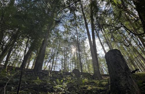 Regional District of Nanaimo Maison | Pacific Forest Beach House