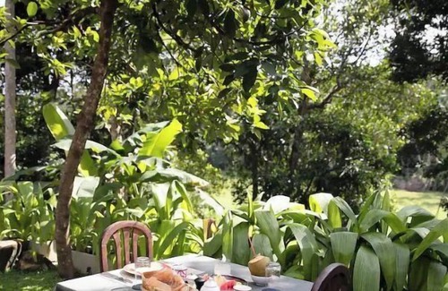 Cheena Kotuwa Cabine | Paddy view superior bungalow 2