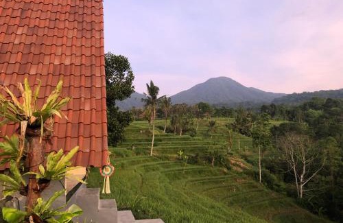 Penebel Cabine | Padi Bali Jatiluwih