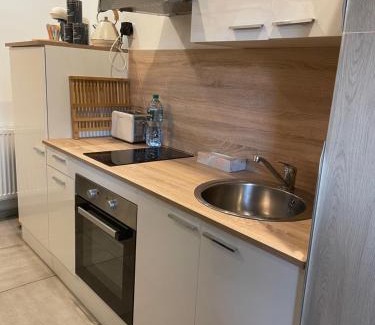 Poste Appartement | Paisible Duplexe sur Villeneuve d ascq