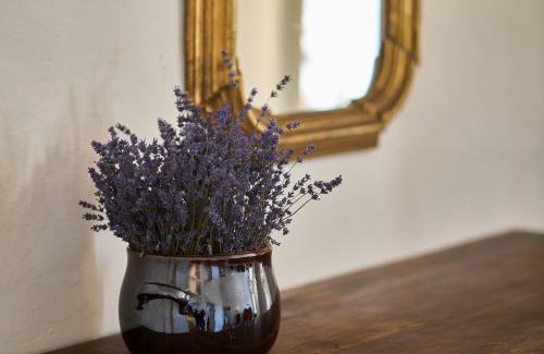 Siena Historical Center Appartement | Palazzo Incontri