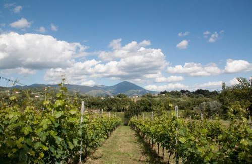 Arce Maison | Palazzo Tronconi agriturismo