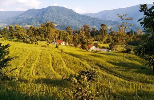 Kalimpong Maison | PaliGhar Farmstay