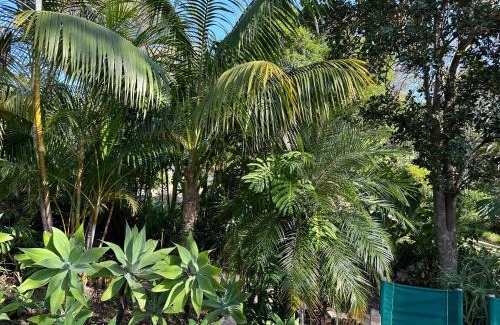 Palm Beach Lit Et Petit-Déjeuner | Palm Beach Bed & Breakfast