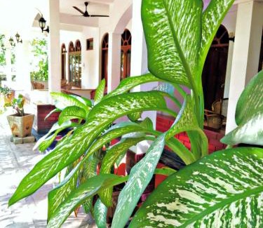Uppuveli Station Balnéaire | Palm Beach Resort by Yosha Guest