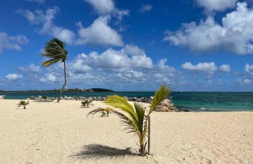 Nettle Bay Appartement | Palm Beach Superbe Studio sur la plage Nettle Bay Beach Club