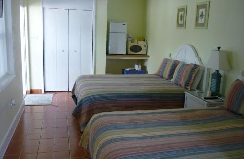 Dunedin Hôtel | Palm Court Motel
