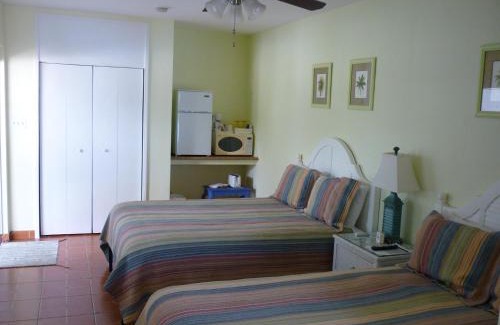 Dunedin Hôtel | Palm Court Motel