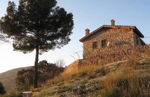 Ortaca Cabine | Palm House Dalyan