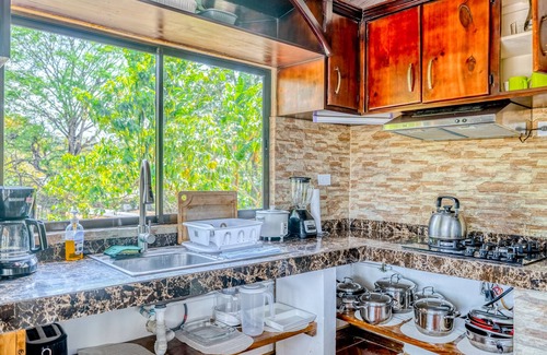 Garabito Maison | Palm-lined paradise with a pool, wood stove, & mountain views - dog-friendly