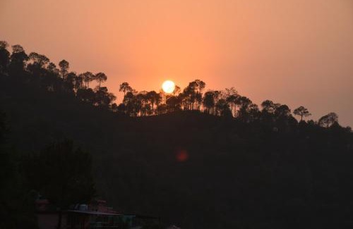 Kasauli Appartement | Palm Tree Paradise Retreat