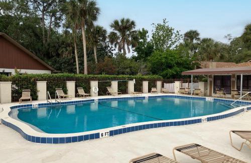 Port Orange Maison | Palm Tree Reverie