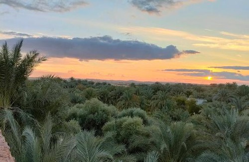 Siwa Appartement | Palma Garden
