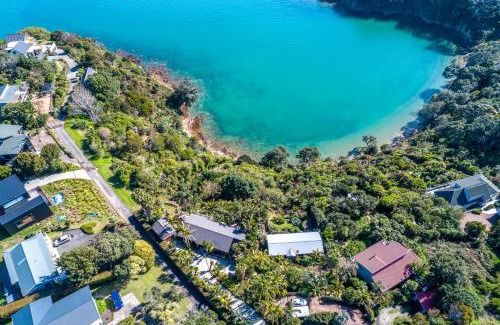 Surfdale Maison | Palms on Kennedy Point - Stay Waiheke