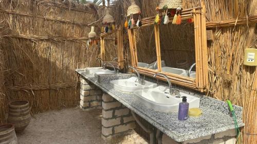 Siwa Autre | Paloma Camp