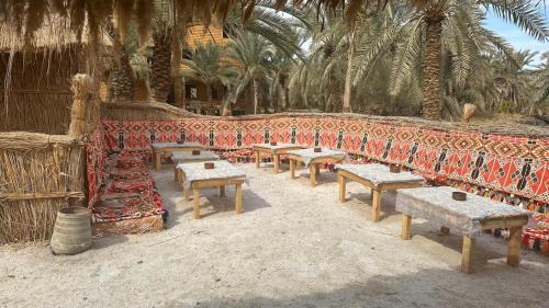 Siwa Autre | Paloma Camp