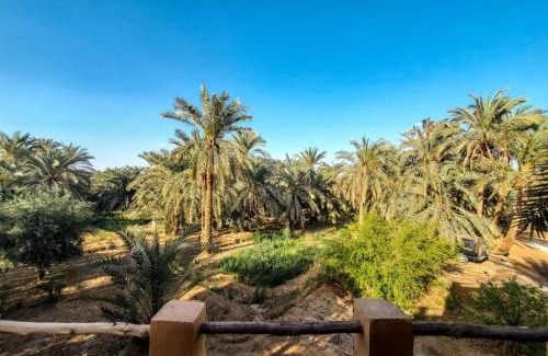 Siwa Appartement | Paloma Lodge