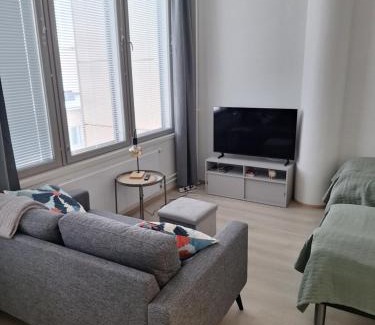 Downtown Kuopio Appartement | Pankin talo with free parking