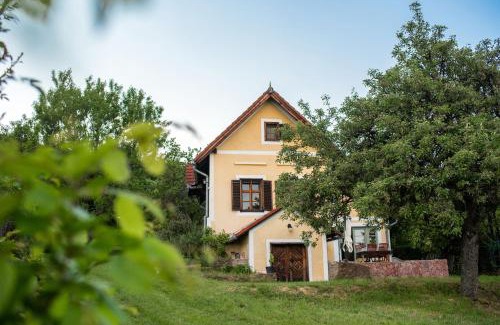 Balatonszepezd Maison | Panorámás Vincellérház - Balatonszepezd