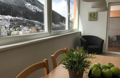 Bad Gastein Appartement | Panorama Spa Lodges DasSchiller MEDIUM