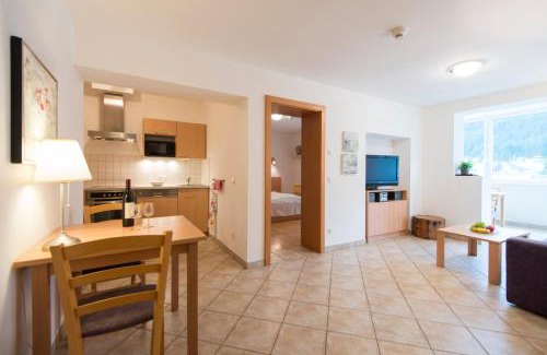 Bad Gastein Appartement | Panorama Spa Lodges DasSchiller MEDIUM