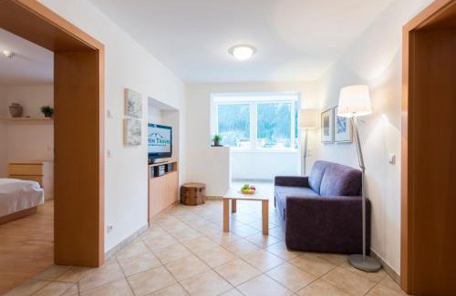Bad Gastein Appartement | Panorama Spa Lodges DasSchiller MEDIUM