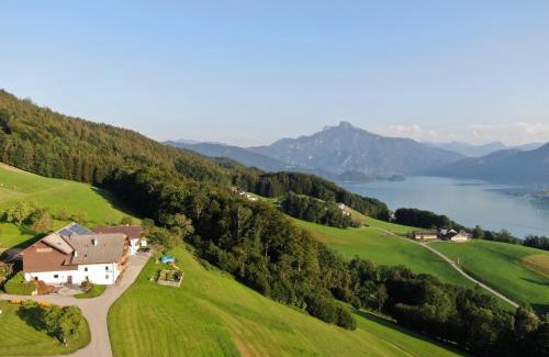 Tiefgraben Appartement | Panoramahof Manzberg