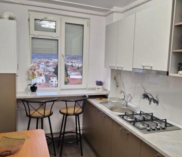 Piatra Neamt Appartement | Panoramic Central Apartment