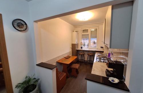 Piatra Neamt Appartement | Panoramic Central Apartment