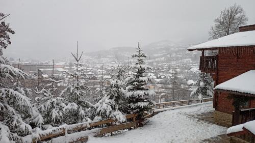 Viseu de Sus Maison | Panoramic Chalet