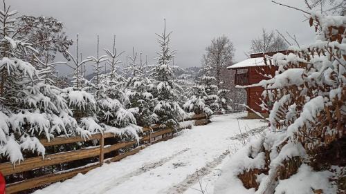 Viseu de Sus Maison | Panoramic Chalet