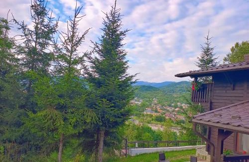 Viseu de Sus Maison | Panoramic Chalet