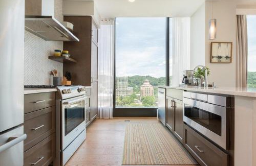 Downtown Asheville Appartement | Panoramic Pack Square