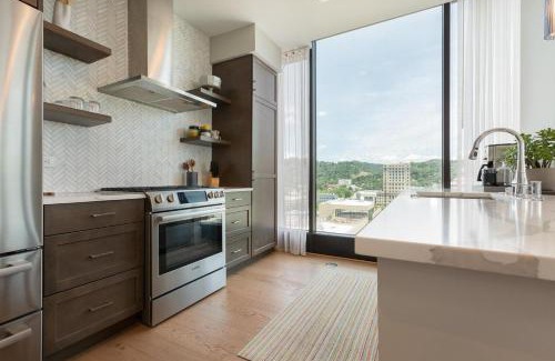 Downtown Asheville Appartement | Panoramic Pack Square