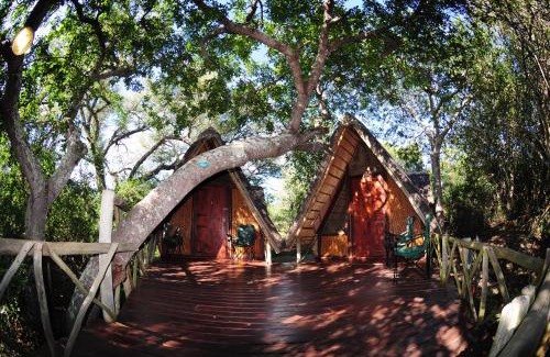 Thorny Bush Game Reserve Station Balnéaire | Panzi Lodge