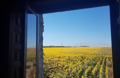 Saint-Pierre-de-Juillers Cottage | 'Papillon' La Grange du Moulin-Just families - Fun for kids - Heated pool - wifi