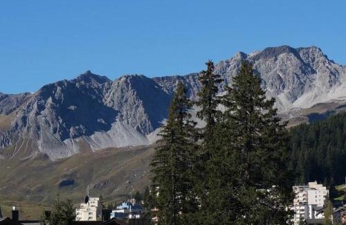 Arosa Appartement | Paradies 411