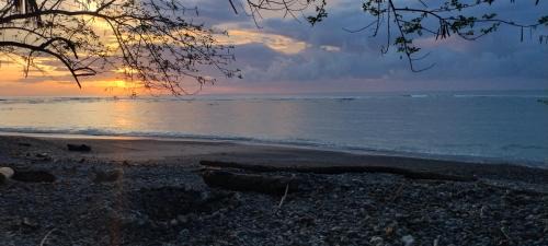Cabuya Maison | Paradise