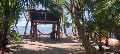 Cabuya Maison | Paradise