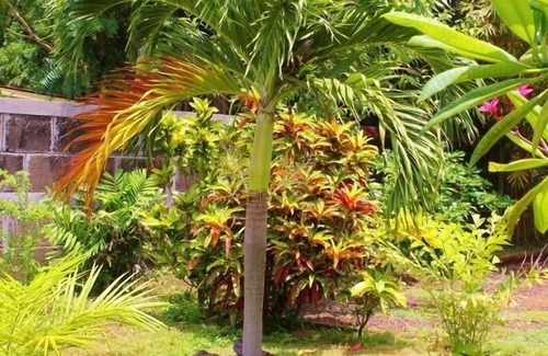 Pochomil Maison | Le paradis au Nicaragua! Belle maison en bord de mer