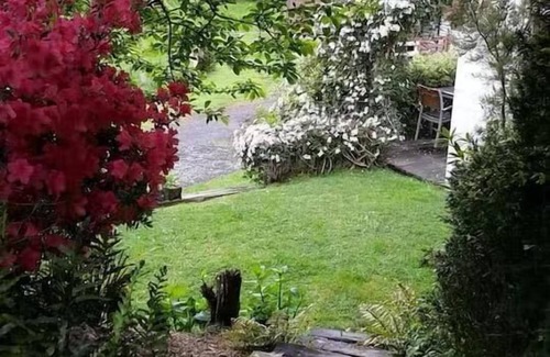 Rotorua Appartement | Paradise Valley Getaway - Farm Cottage with Stream
